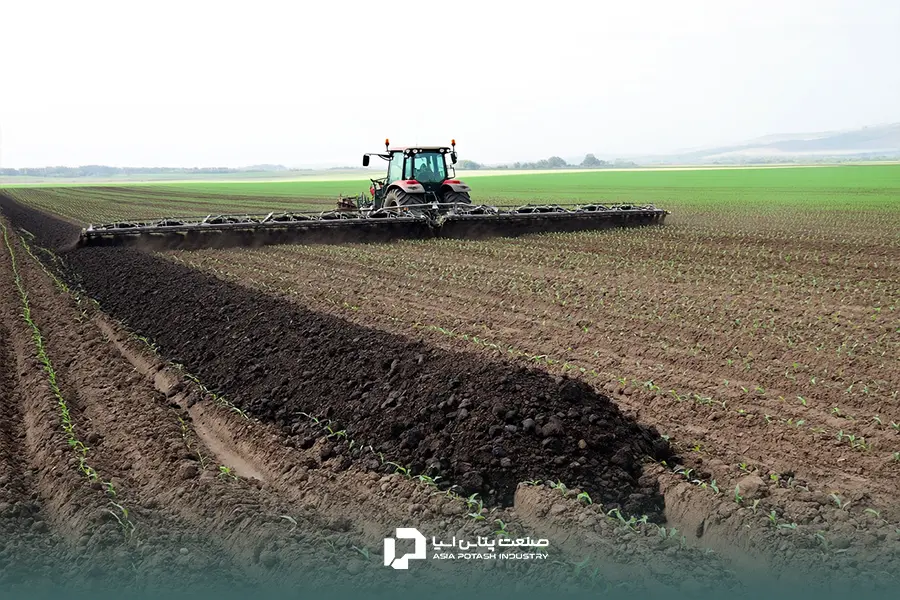 انواع کود برای لوبیا در مراحل مختلف رشد استفاده می‌شوند.